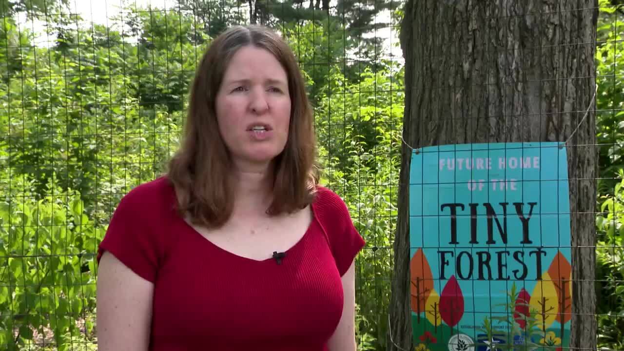 Donna Goggin Patel -- Tiny Forests