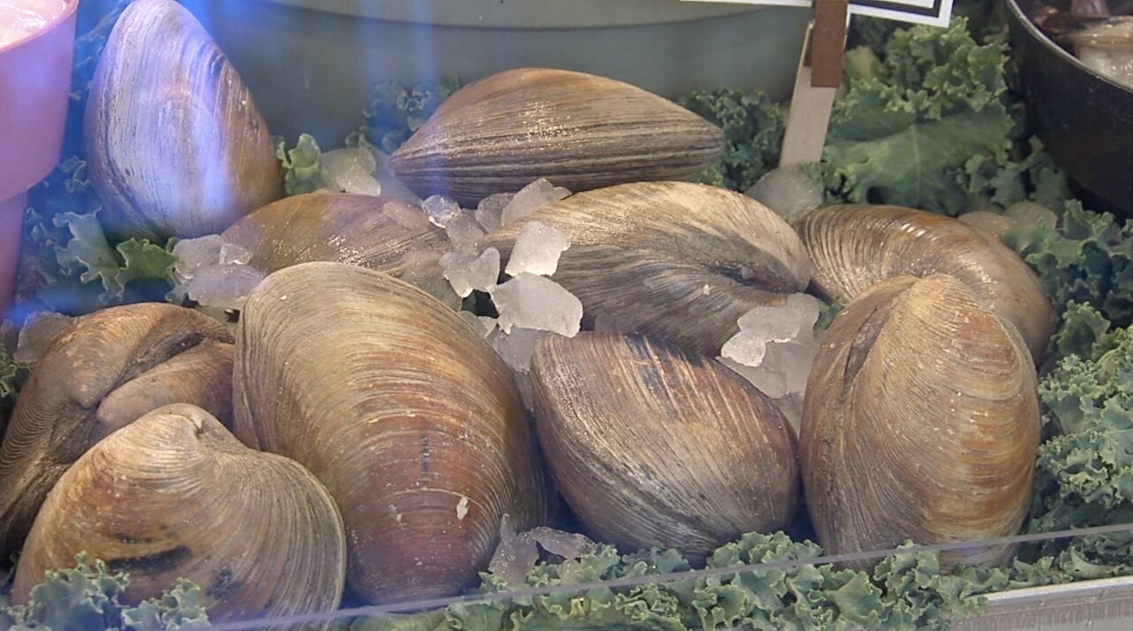 Caplinger Clams