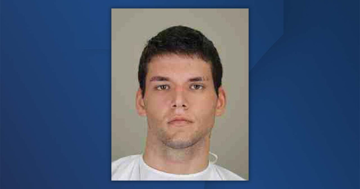 Hamburg man pleads guilty to manslaughter in connection to deadly stabbing