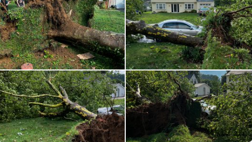 Screen Shot 2022-07-05 at 6.32.26 PM.png