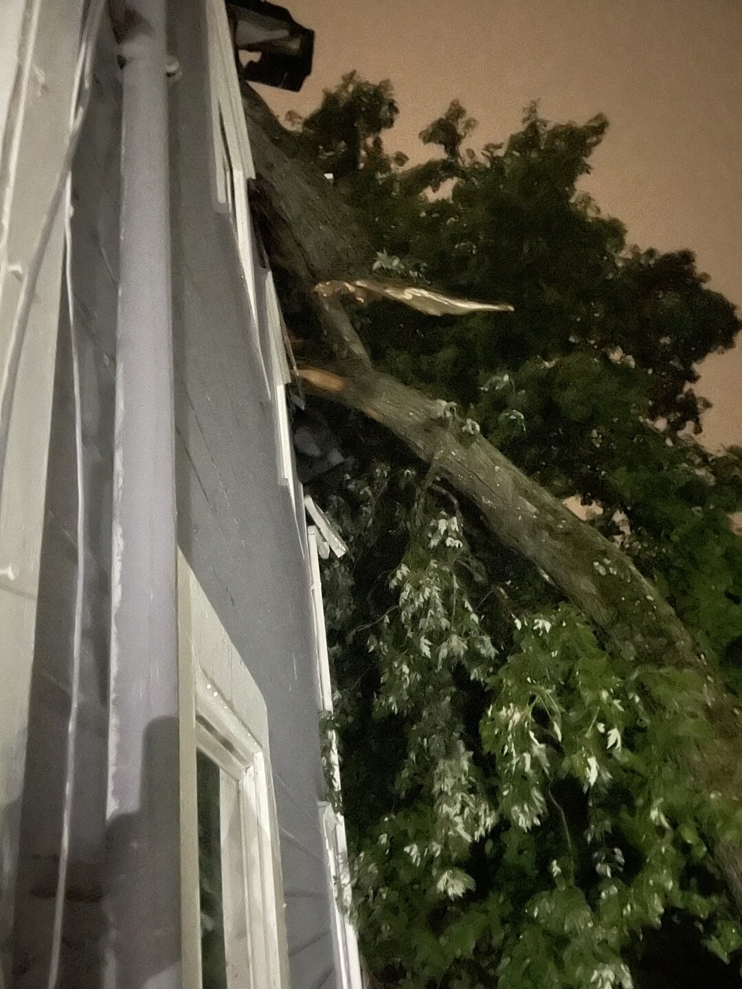 Big branch on Akron home