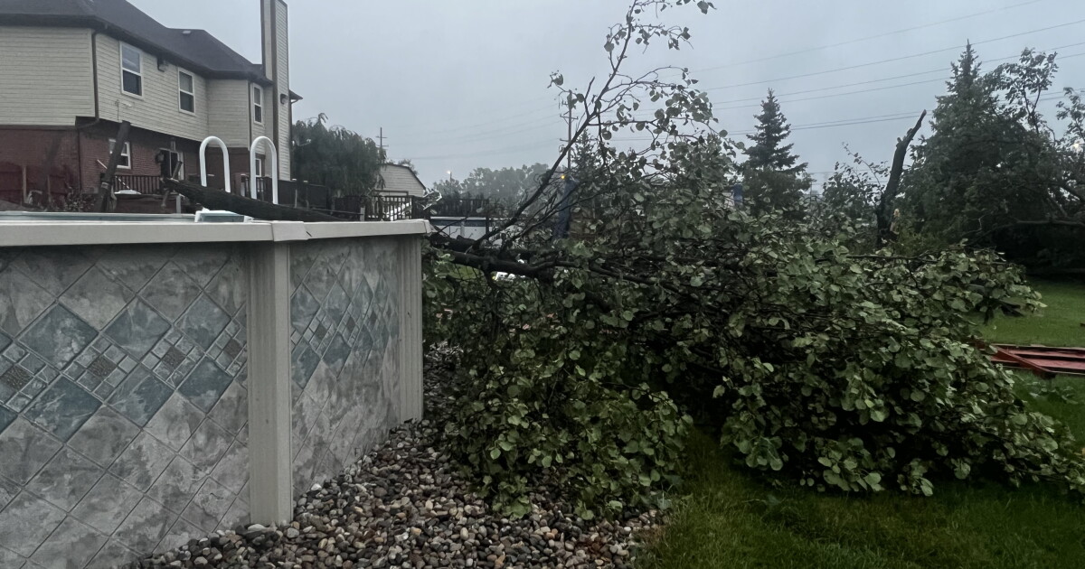 5 dead across Michigan after severe storms Thursday night - Vimarsana News