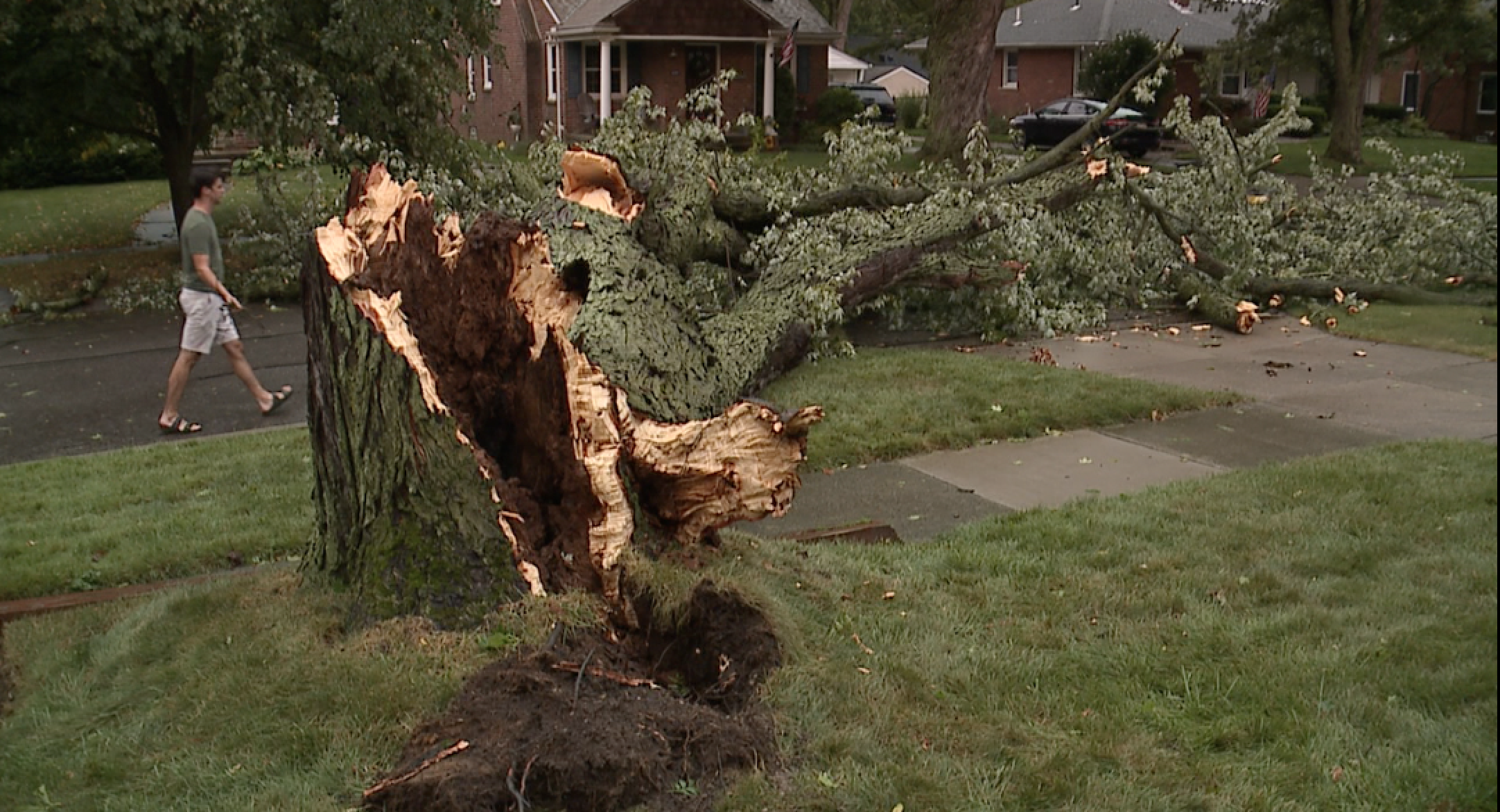 Downed trees, power lines: See videos of widespread damage across metro ...