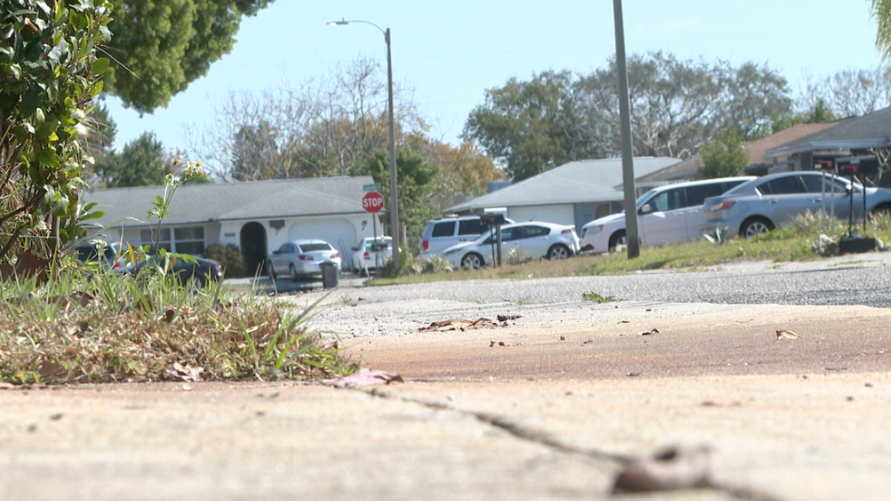 Facebook puppy scheme leaves Port Richey neighborhood on edge