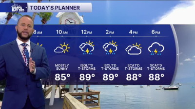 forecast 7-3.png
