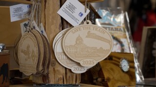 Save the Train Ornaments