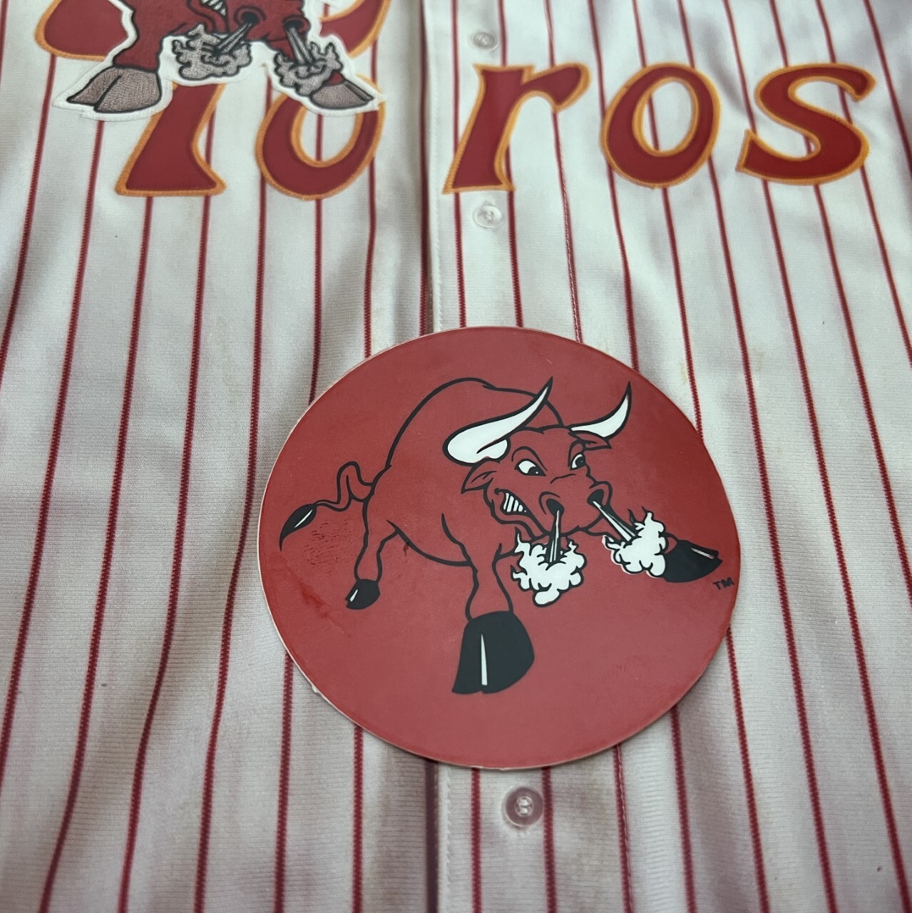 Old Tucson Toros logo and uniform