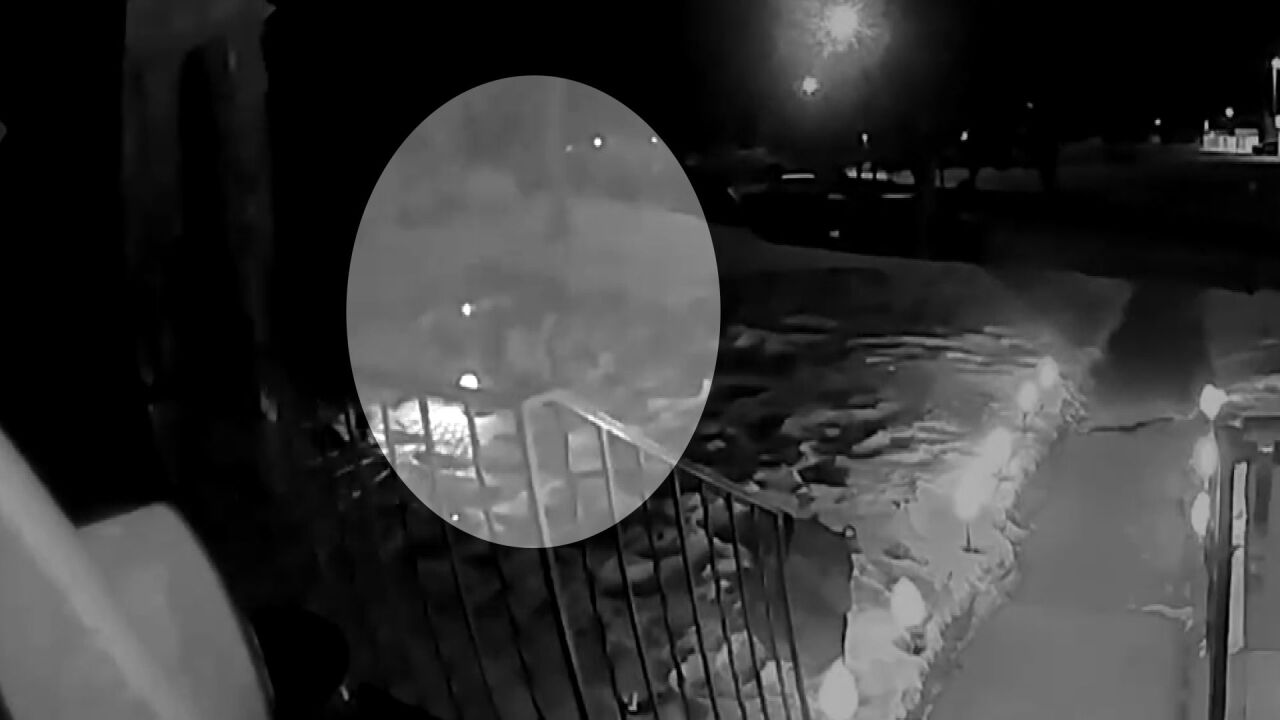 What A Grinch Homeowner Shares Video Of Christmas Lights Being