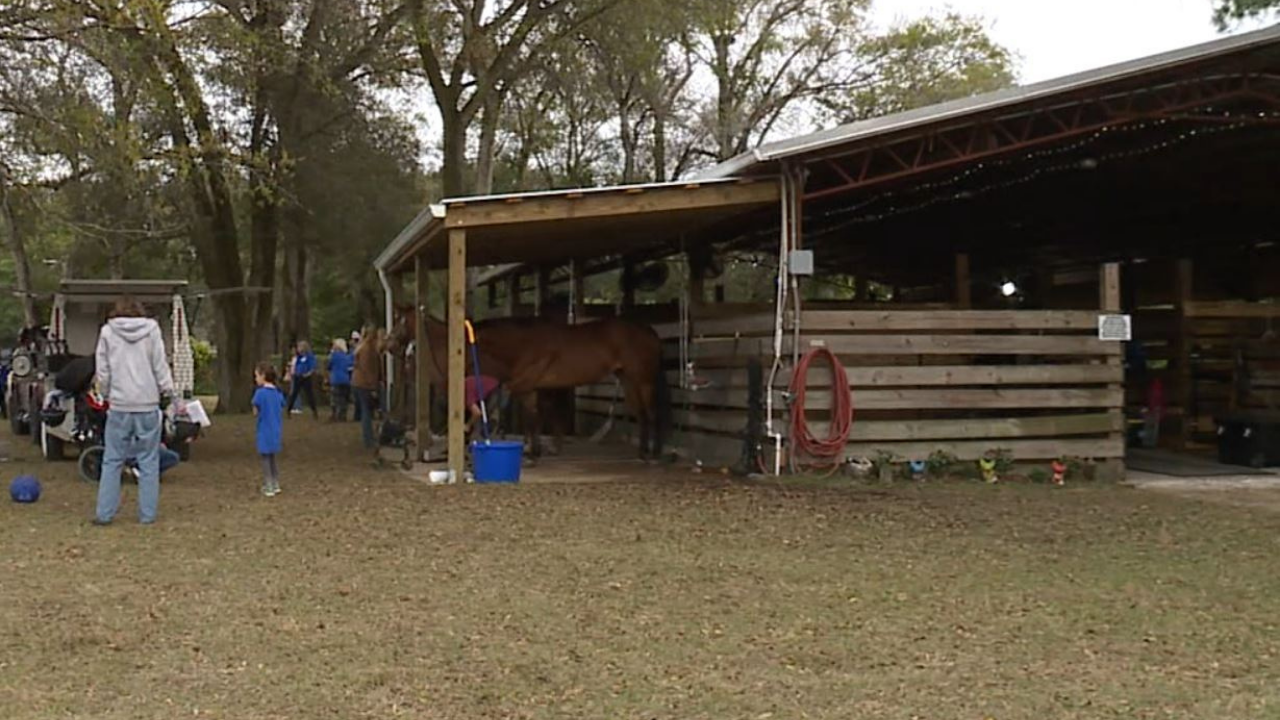 Saddle Up Riding Club WFTS.png