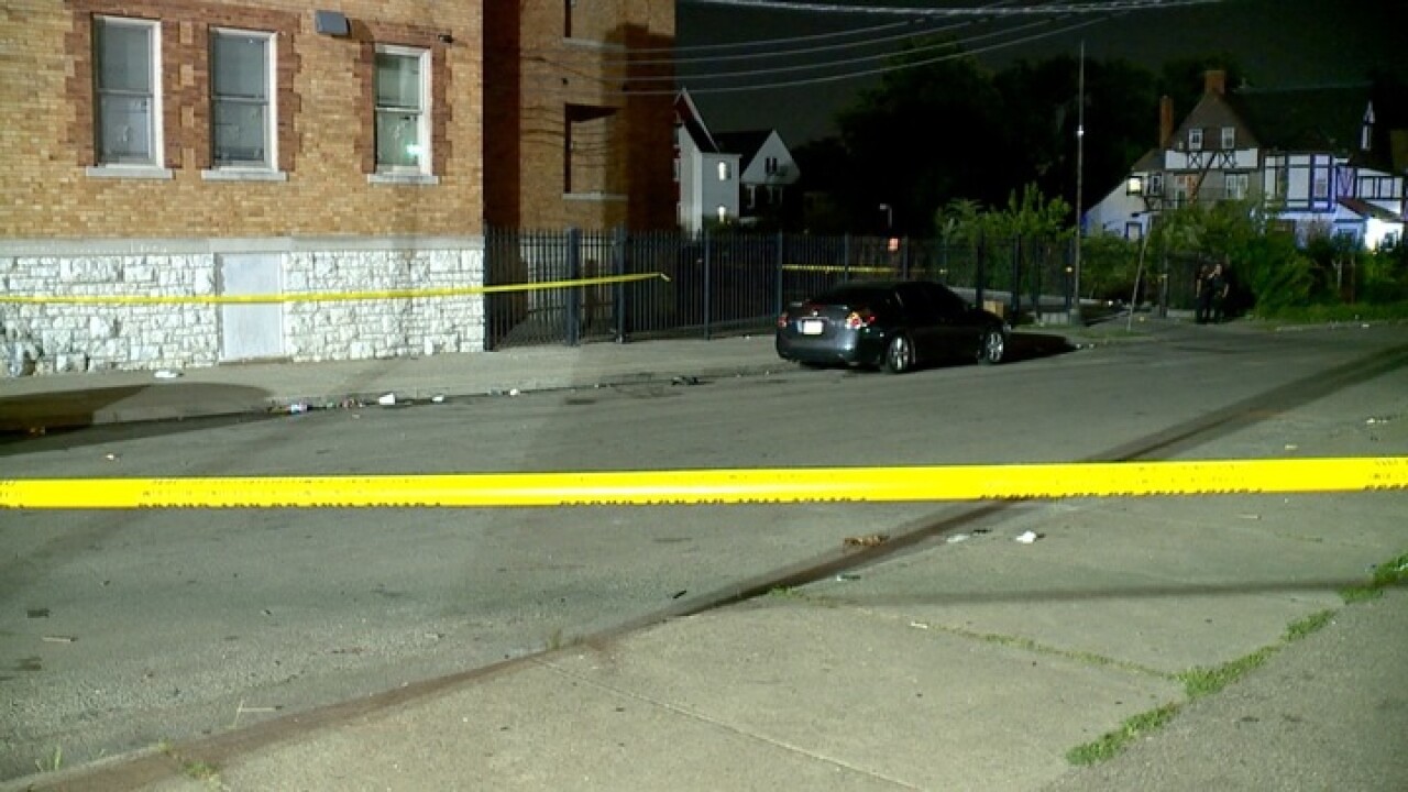 Avondale overnight shooting
