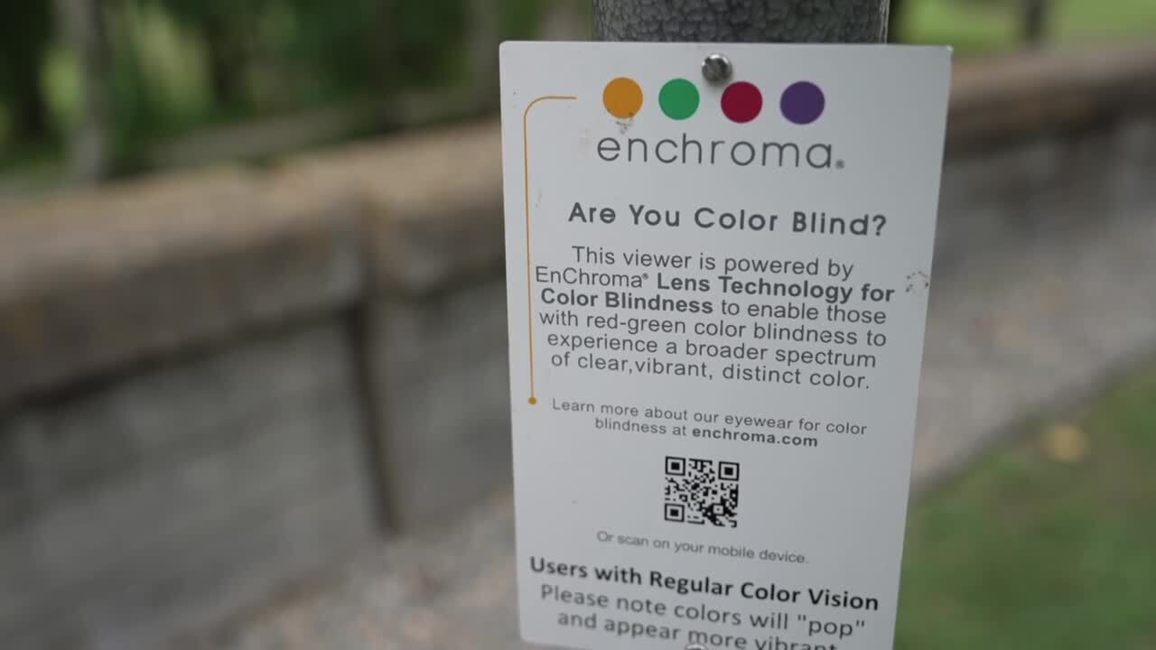 Poster image - 2024-07-26T200106.547.jpg