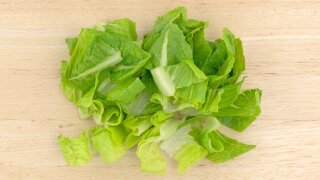 FDA says cows may have caused E. coli lettuce contamination