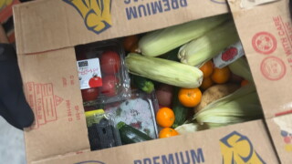 foodbank.jpg