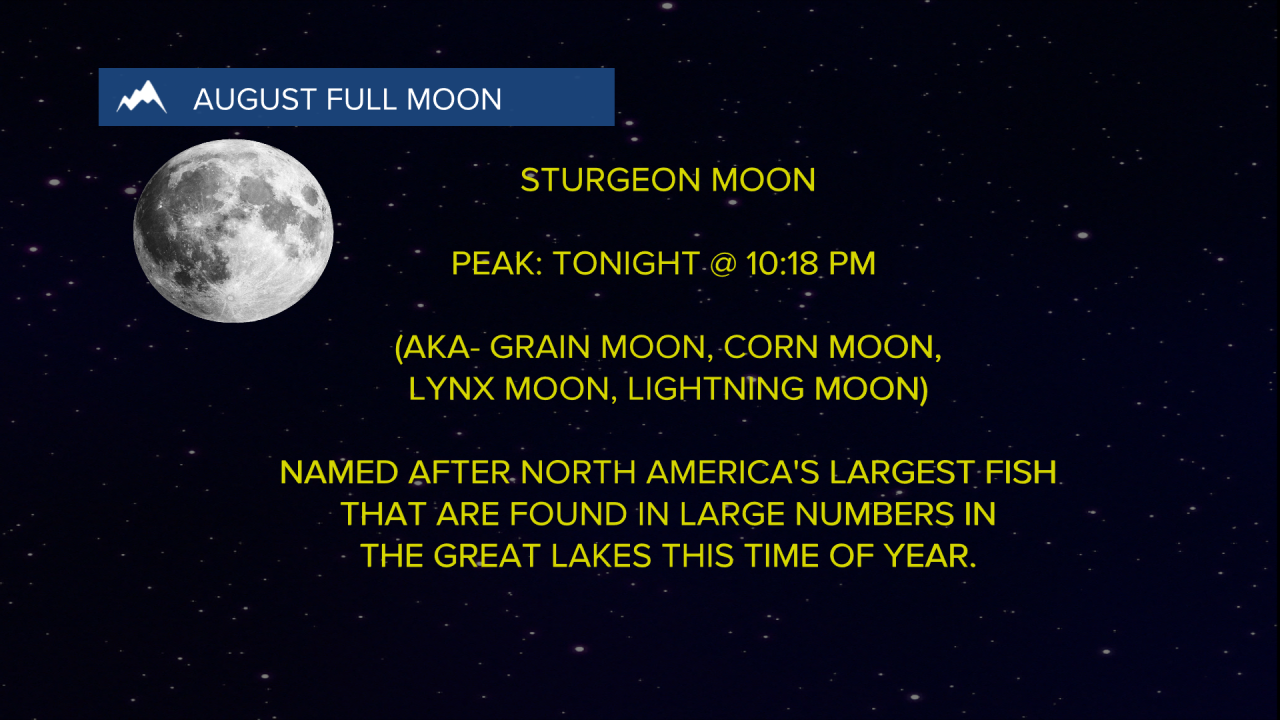 Supermoon stuff.png