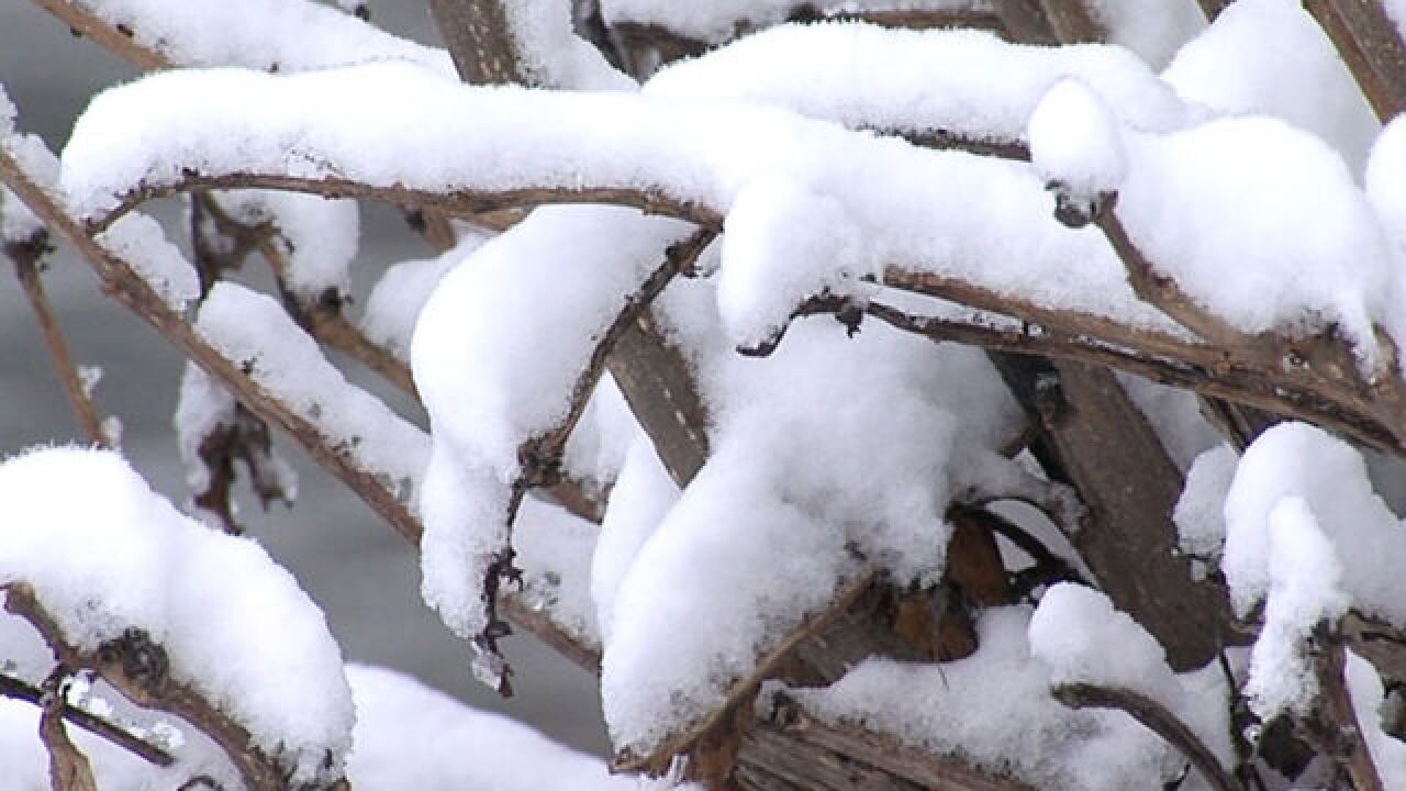 snow in the forecast for san diego county mountains