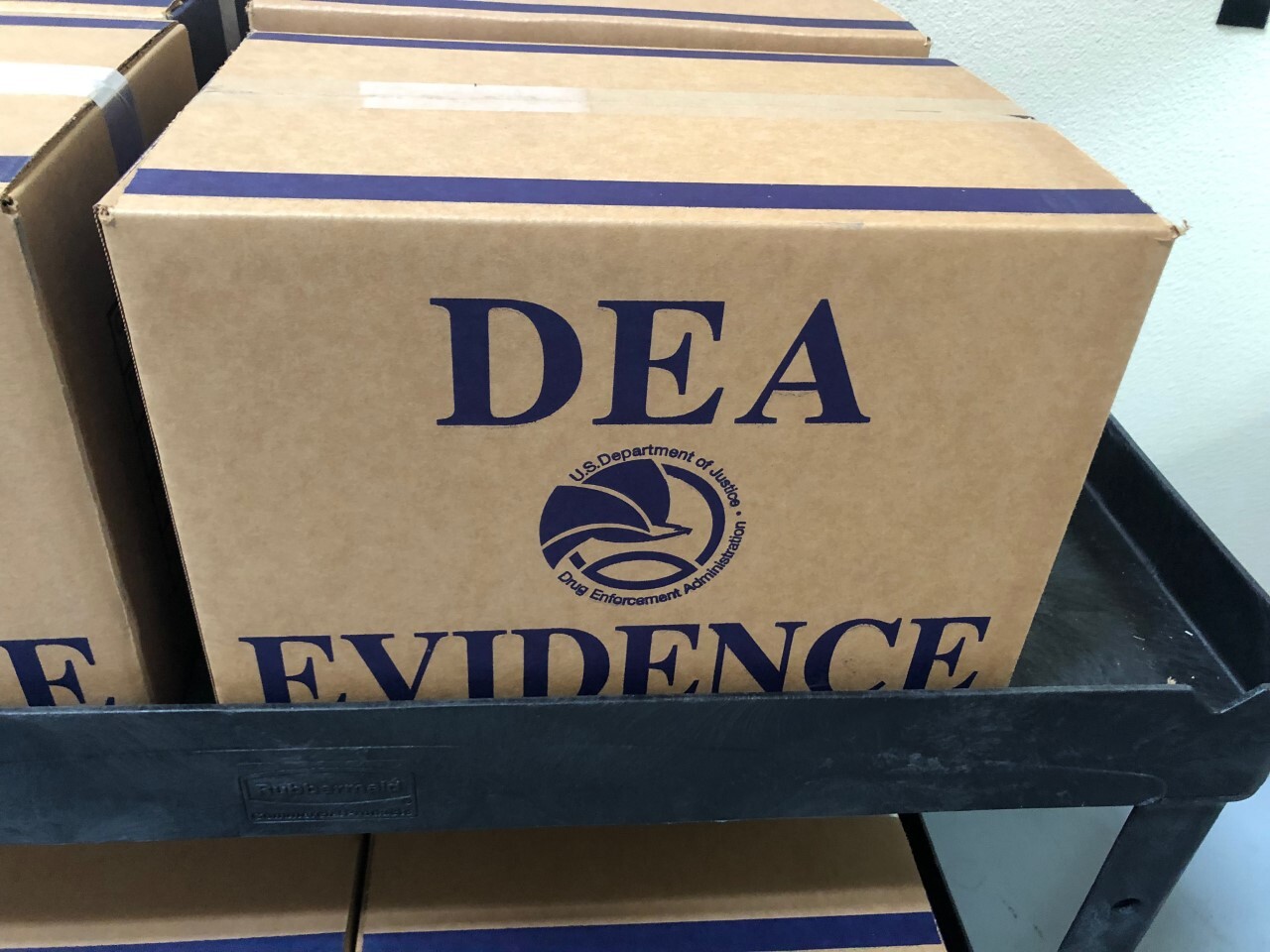 dea 1.jpg