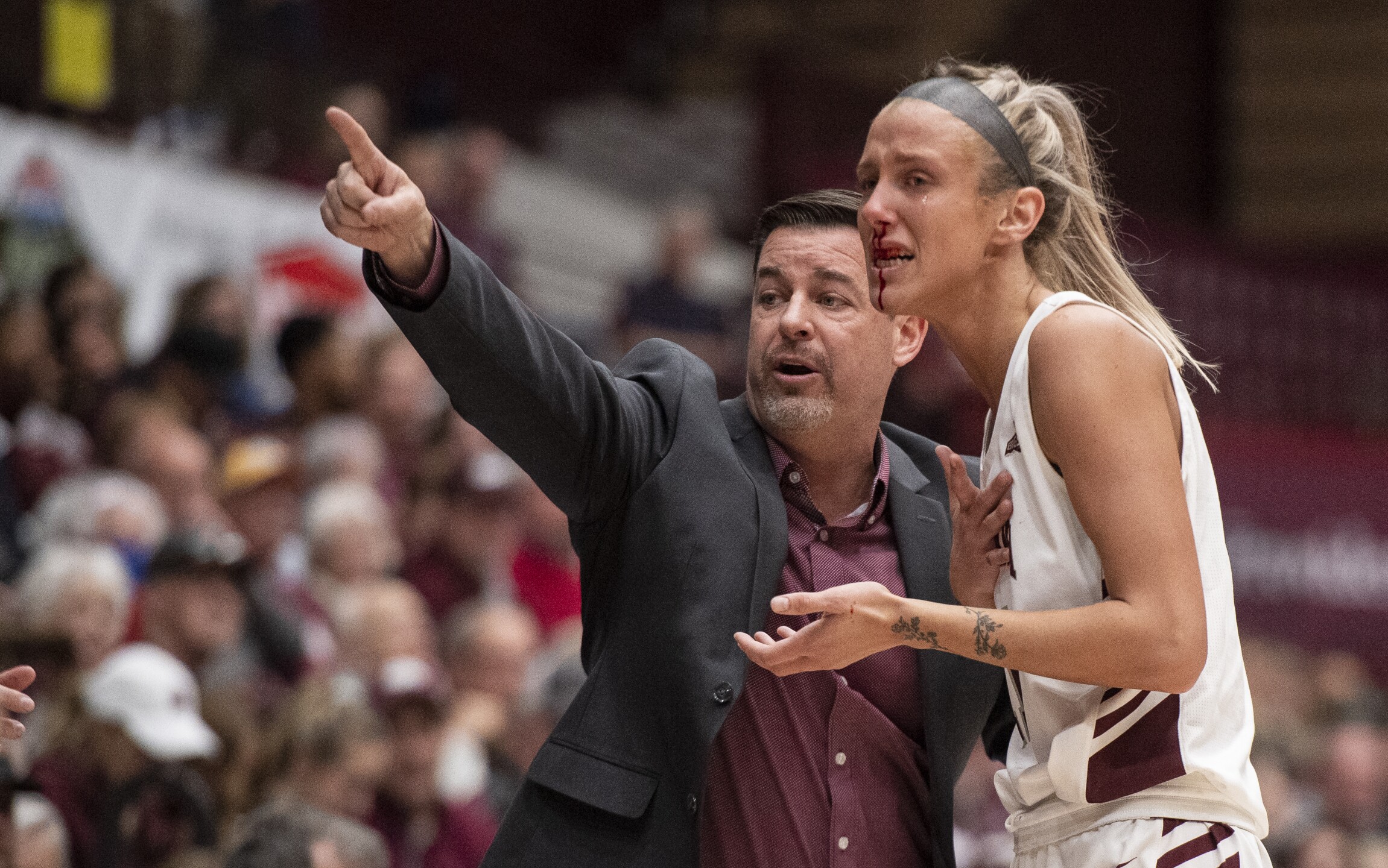 Photos Montana and Montana State women's CatGriz game