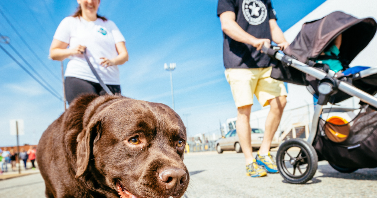 Richmond SPCA adds block party to Saturday dog jog