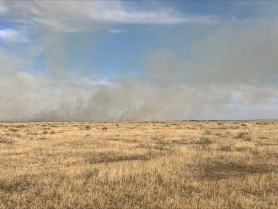 cole fire.jpg