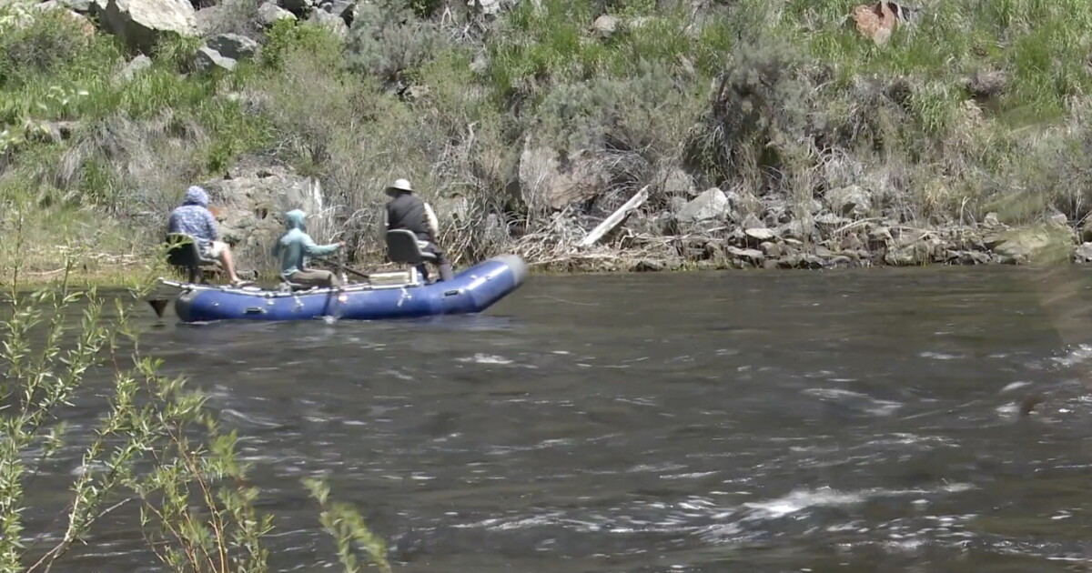 Outfitters seek independent study of declining trout in Big Hole River - Vimarsana News