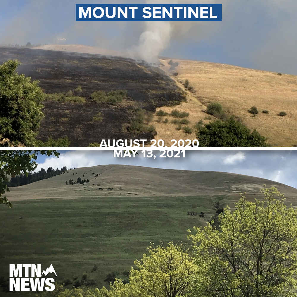 MOUNT SENTINEL BEFORE AND AFTER