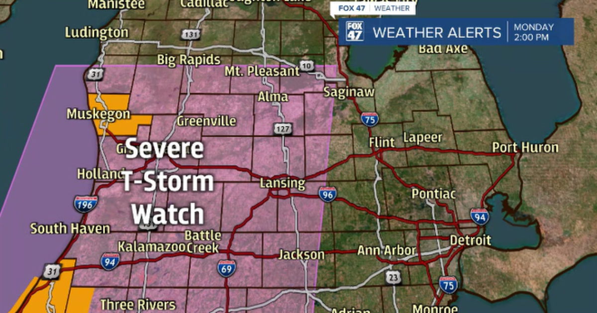 Severe thunderstorm watch in effect until 8 p.m. for mid-Michigan