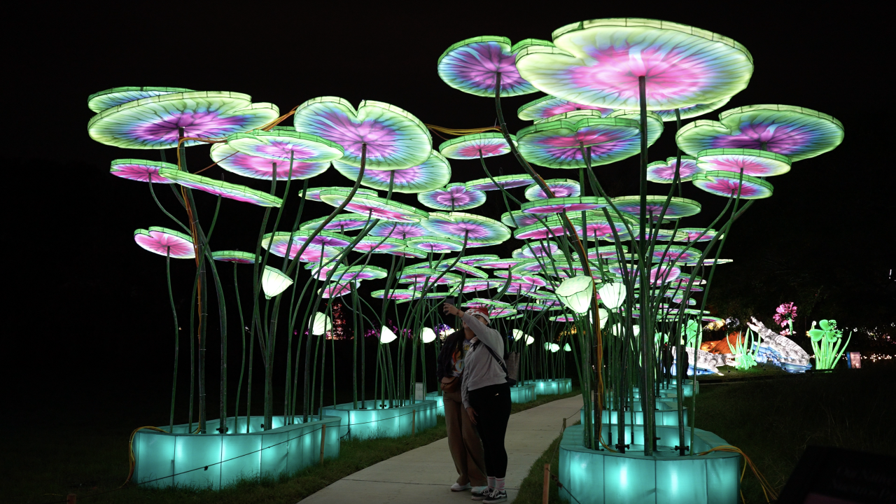 Tianyu Lights Festival debuts in the Valley on October 25.