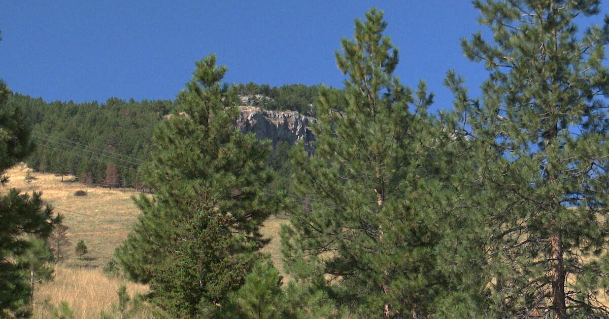 Section of trail on Mt Helena to be moved and renamed after Eric Feaver - Vimarsana News