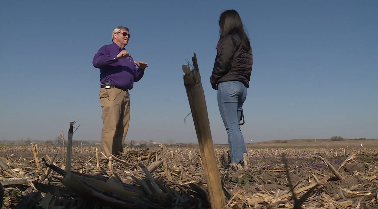 Screenshot 2024-04-20 at 3.30.24 PM.png