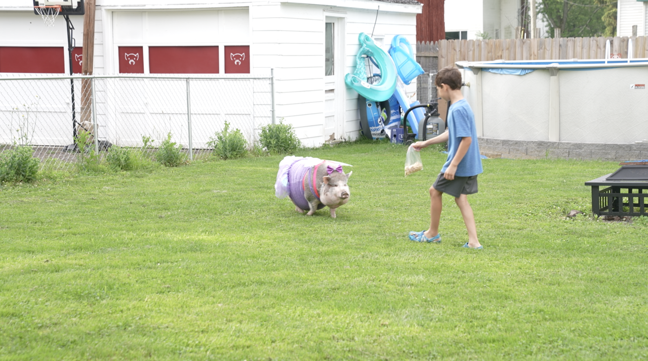 Jesse is giving treats to Miss Olivia.