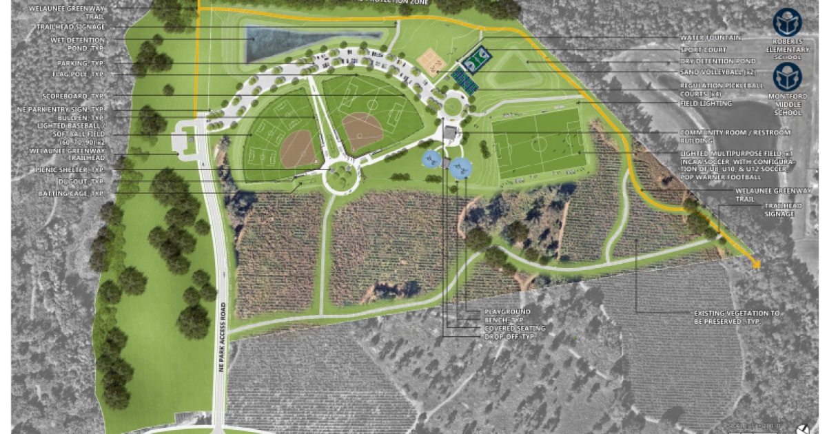 PARK APPROVED: How families are feeling about the $12M NE Tallahassee Park - Vimarsana News