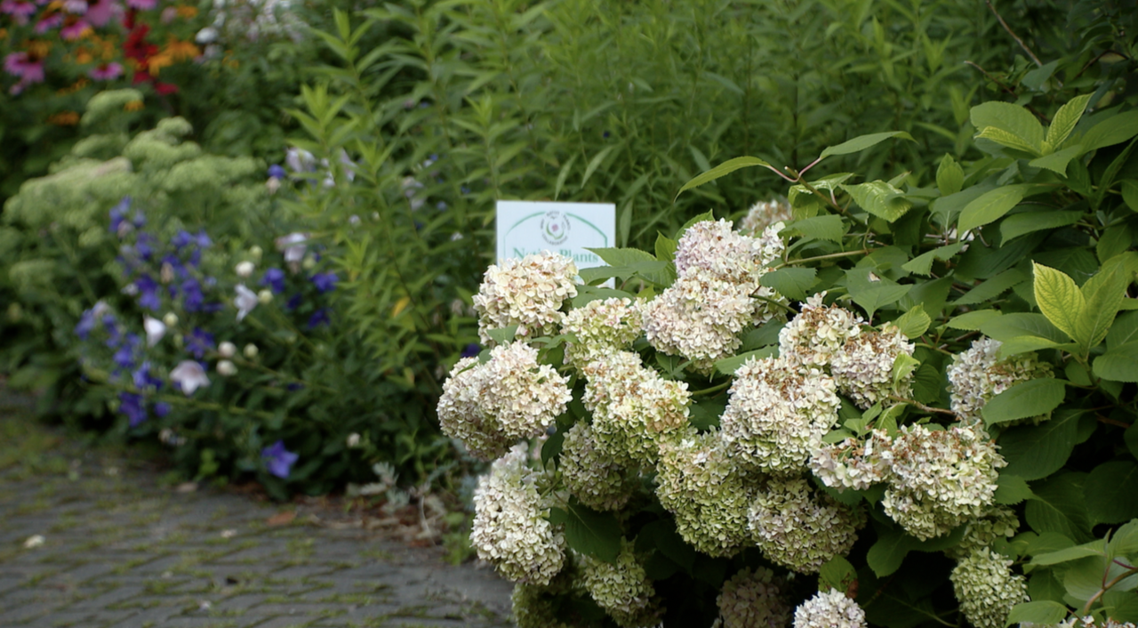 Screen Shot 2024-07-26 at 10.34.43 AM.png