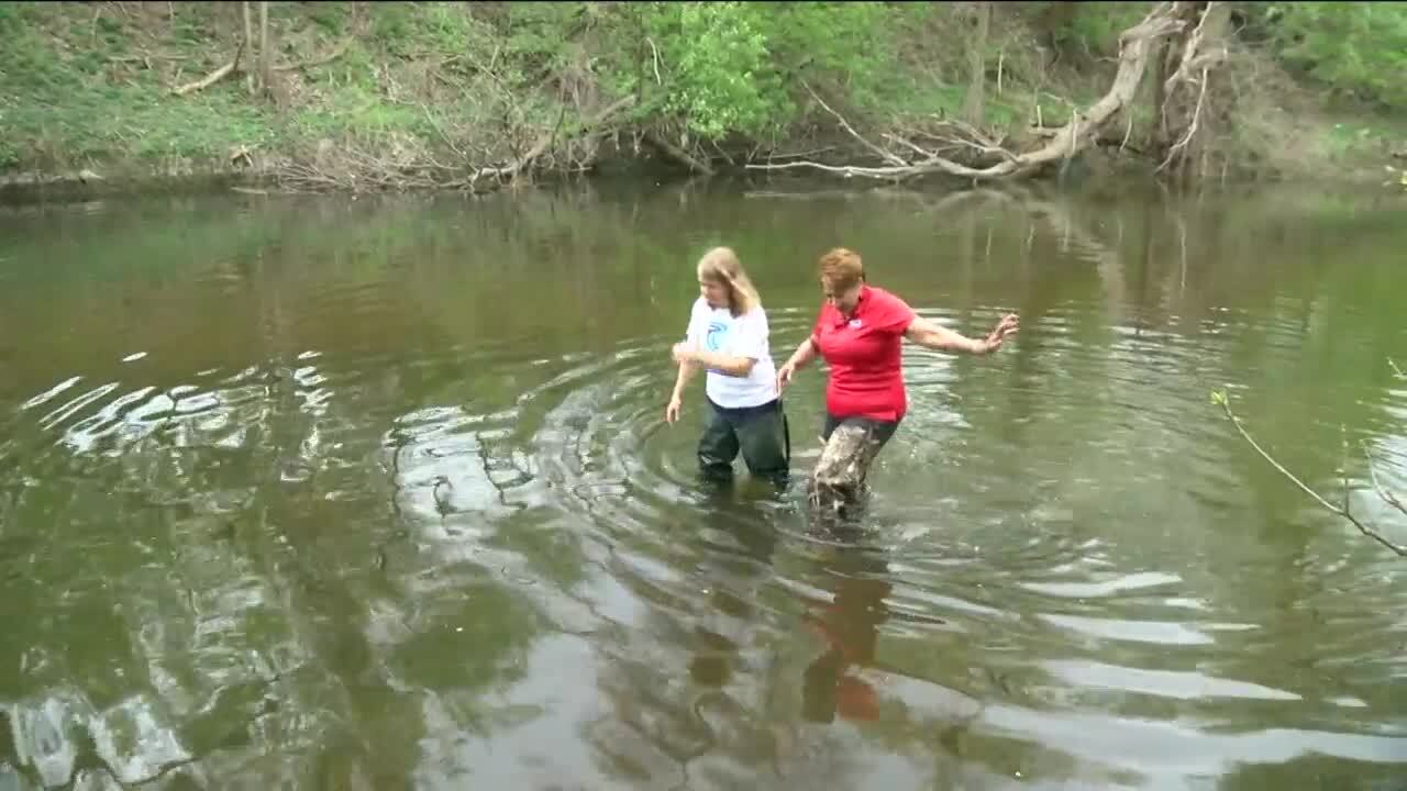 Poster image - 2021-05-13T184518.738.jpg