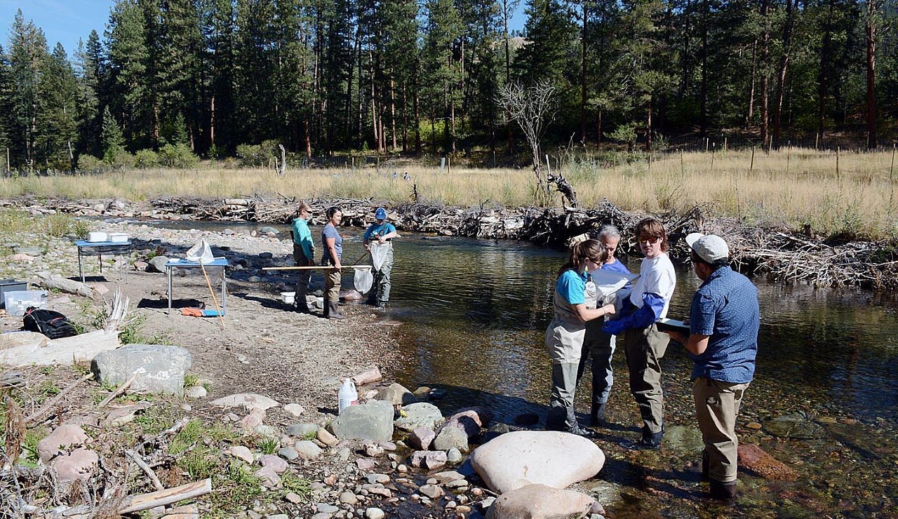 Rattlesnake Stream Water