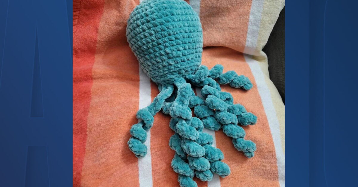 Knitted octupi's help spin a yarn to protect children in Tampa's NICU - Vimarsana News