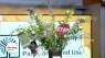 Fight Invasive Plant Species