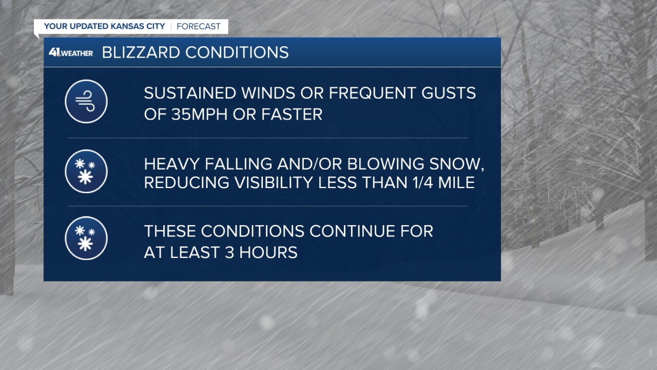 BLIZZARD INFO (002).jpg