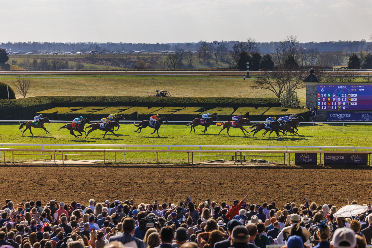 BREEDERS CUP KEENELAND 2022