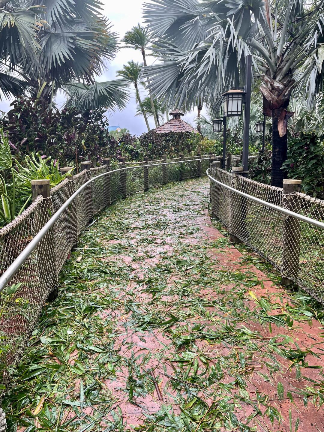 Image from iOS - 2022-09-29T171534.079.jpg