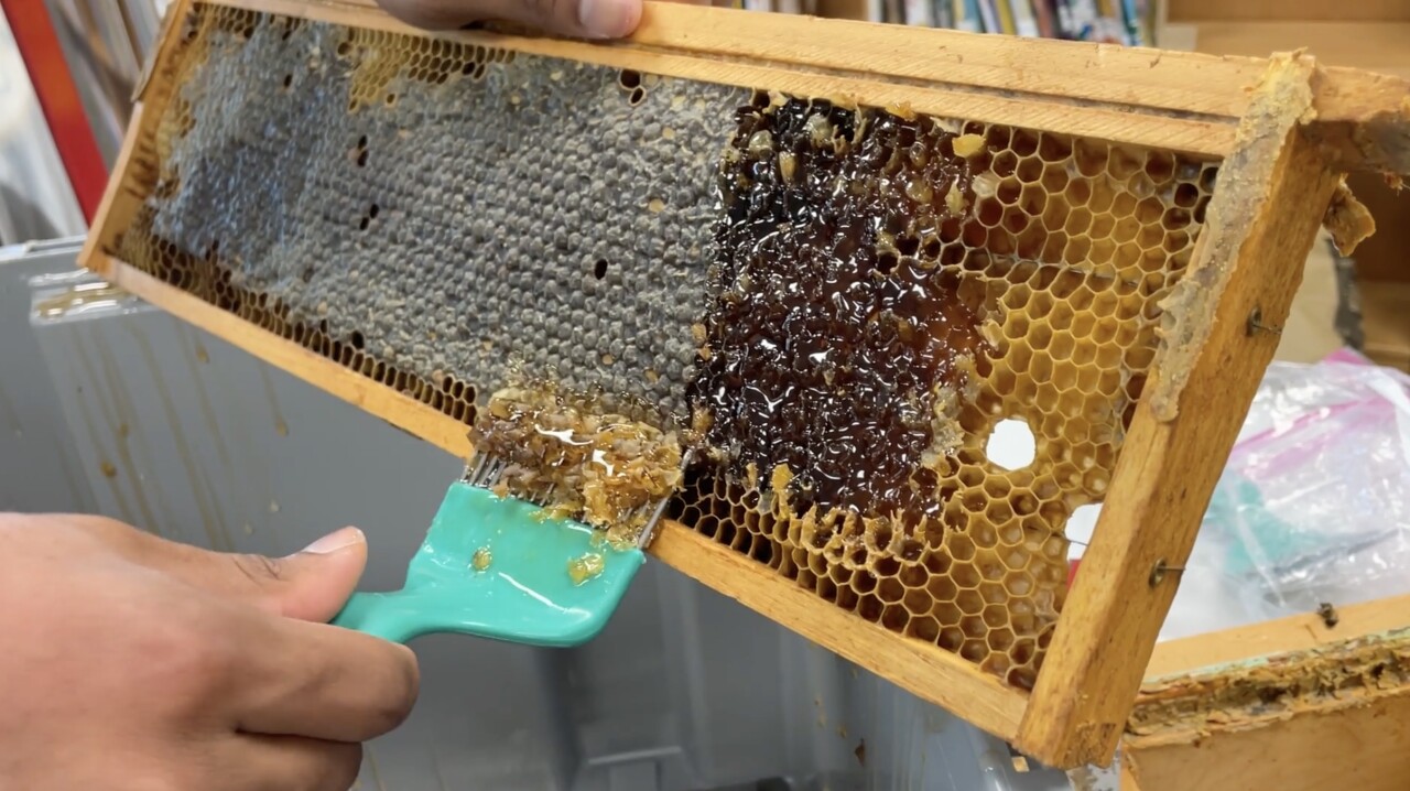 Screen Shot 2024-09-10 at 7.49.48 PM.jpg