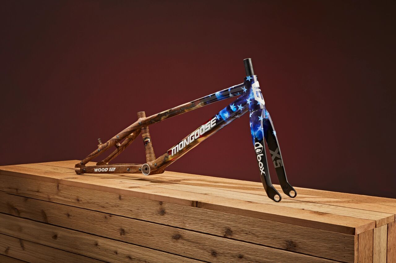 Sheboygan BMX Olympic bike