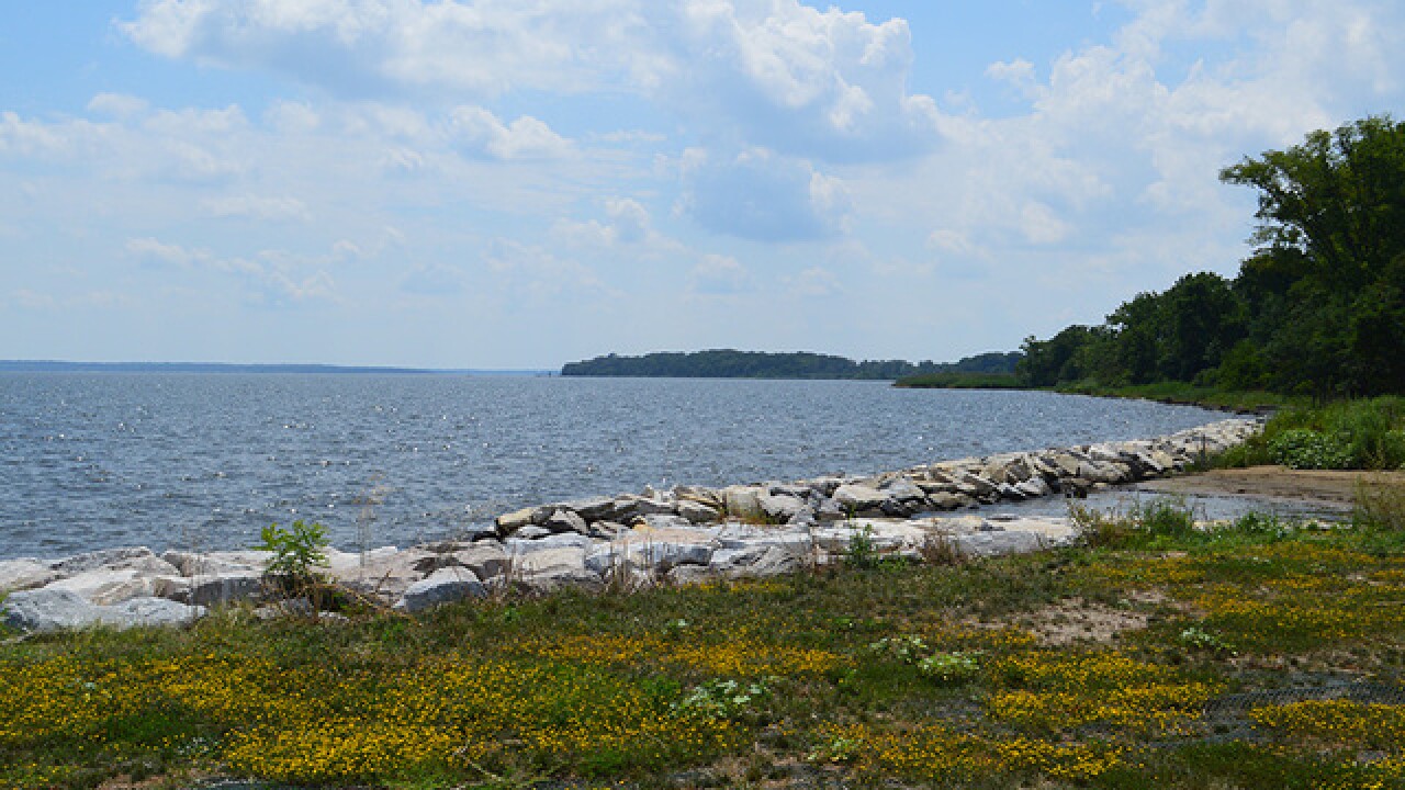 Man Fighting For Life After Nearly Drowning At Gunpowder