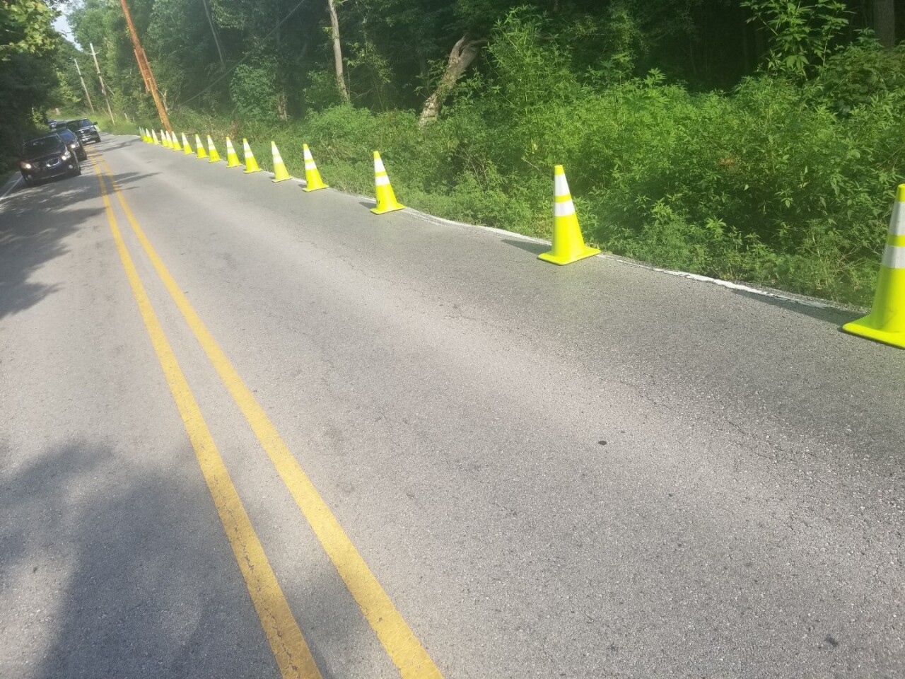 Cones on Wilson.jpg