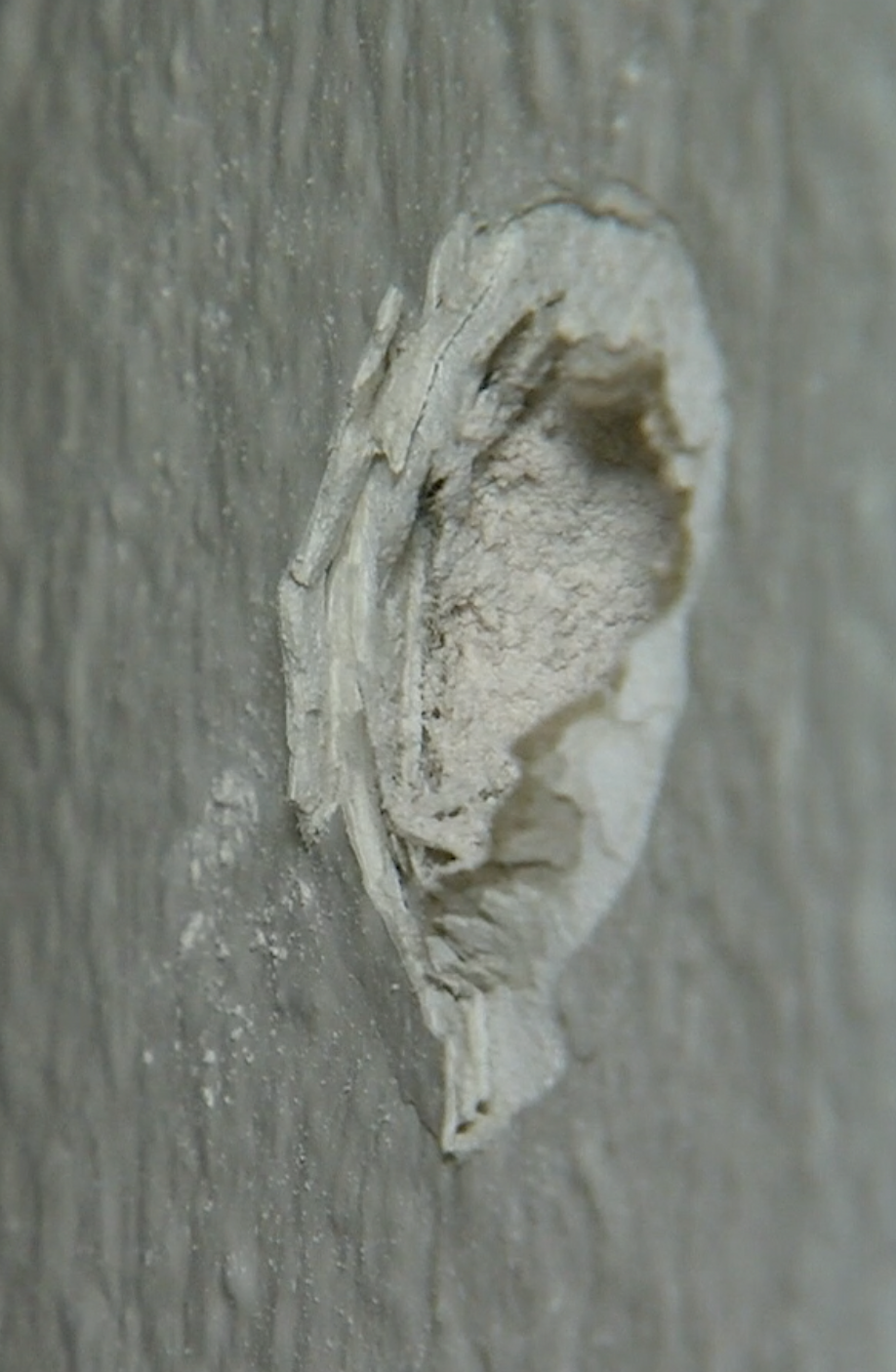 Screenshot 2024-11-02 at 5.38.43 PM.png