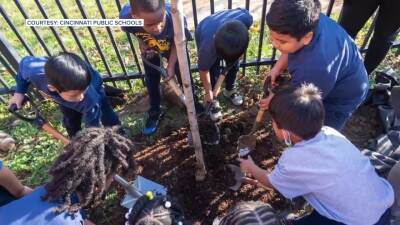 Rees E. Academy students plant a tree