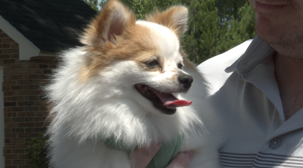 Laskin Road development