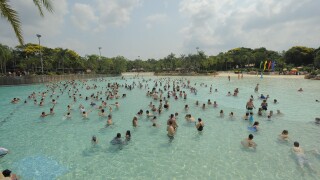 World's Largest Swimming Lesson