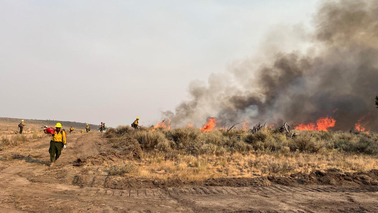 big grass fire.jpg