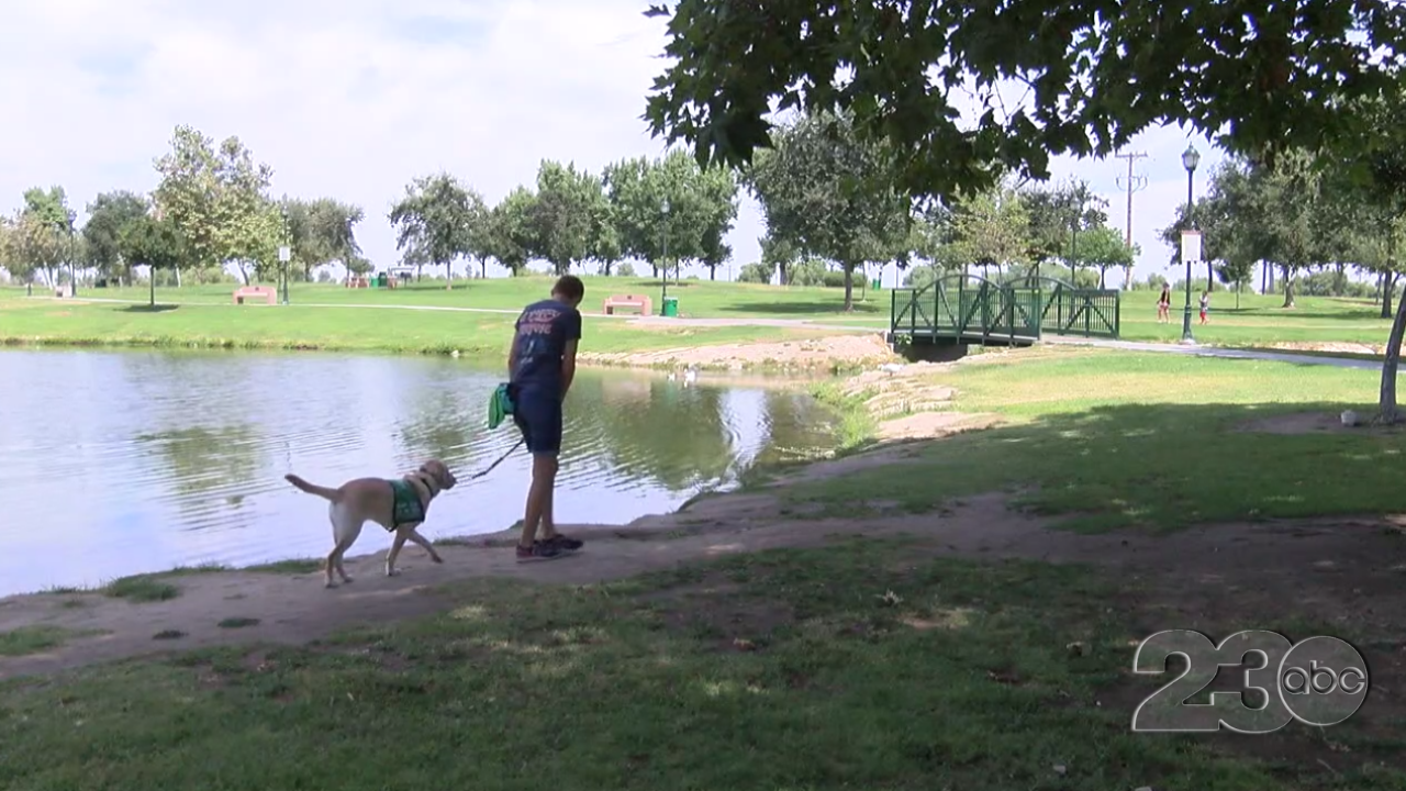 Guide Dogs for the Blind