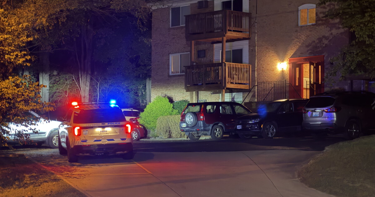 Assault News Image